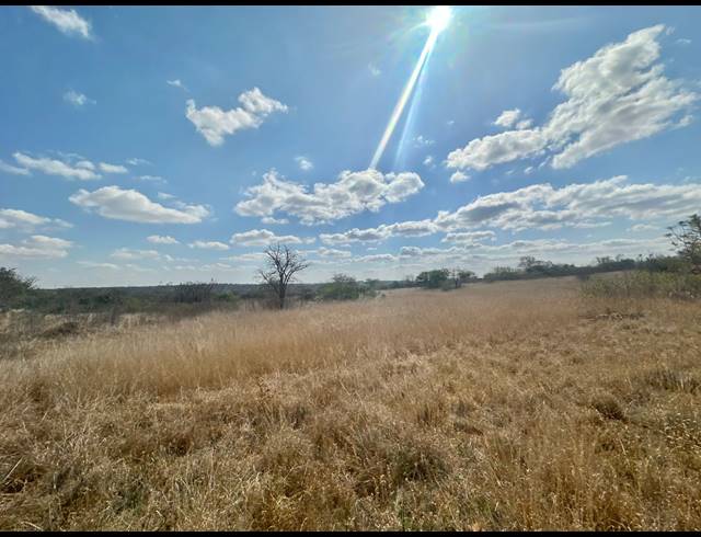 2,000M² SMALLHOLDING FOR SALE IN DALMADA AH